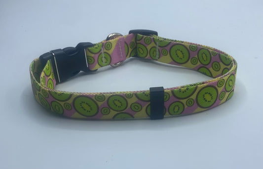 Bright Kiwis Dog Collar & Leads.