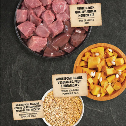 Acana Wholesome Grains - Lamb & Pumpkin Dog Food 4 lb Central Pet