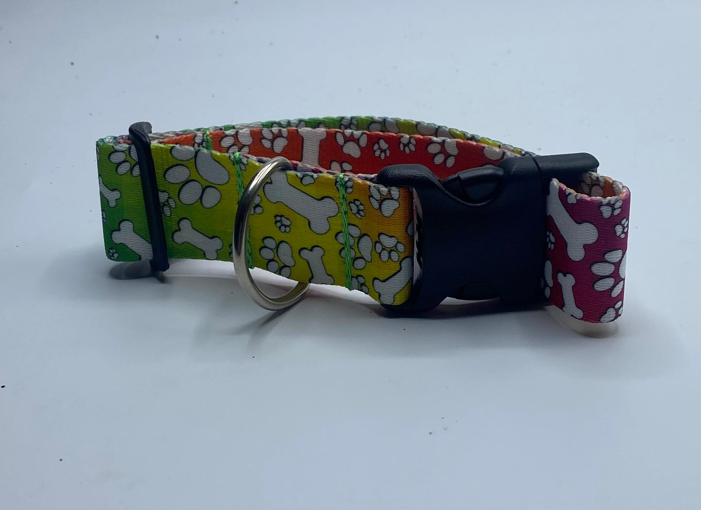 Tie Dye Dog Rainbow Bones Dog Collar (1.5" Wide)