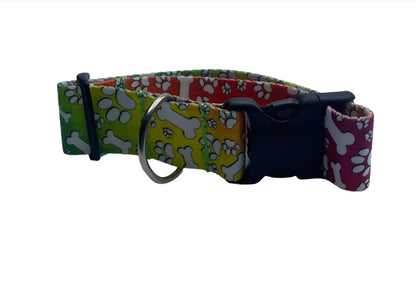 Tie Dye Dog Rainbow Bones Dog Collar (1.5" Wide).