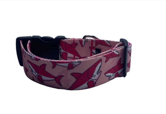 Pink Sharks Nylon Dog Collar (1.5" Wide)