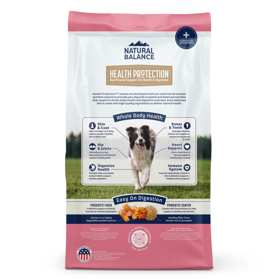 Natural Balance Pet Foods Health Protection Dry Dog Food Salmon, Brown Rice & Pumpkin, 4 lb