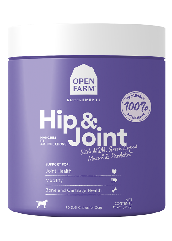 Hip & Joint Supplement Chews for Dogs