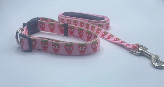 Sweet Strawberries Dog Collar & Leads.