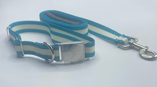 White & Teal Striped Sterling Dog Collar/Lead Collection.