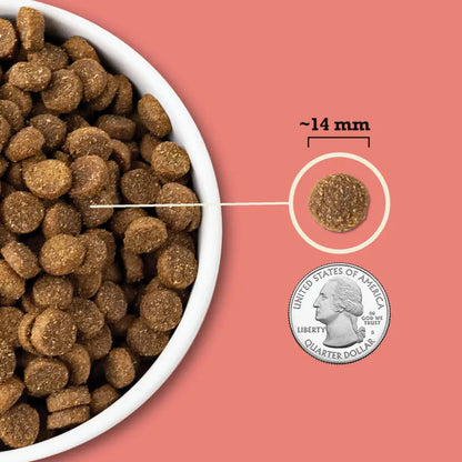 Acana Wholesome Grains - Red Meat Dog Food 4 lb Central Pet
