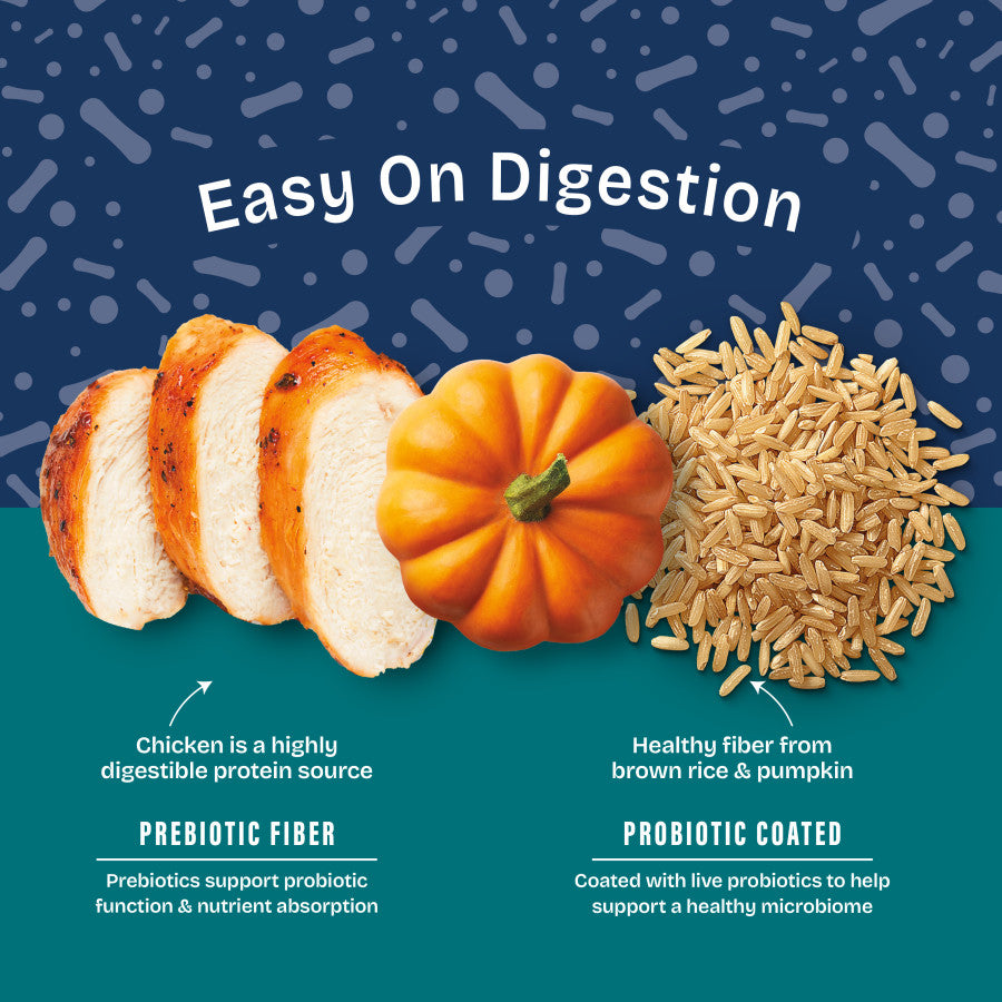 Natural Balance Pet Foods Health Protection Small Breed Dry Dog Food Chicken, Rice & Pumpkin, 4 lb