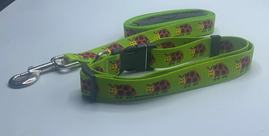 Lovely Ladybugs Dog Collar & Leads.