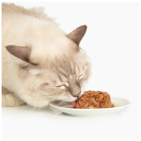 Catit Chicken Cat food  Dinner with Salmon & Carrots - 80 g (2.8 oz)