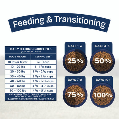Natural Balance Pet Foods Health Protection Dry Dog Food Lamb, Rice & Pumpkin, 4 lb