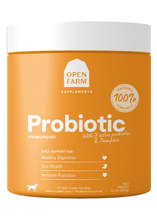 Probiotic Supplement Chews for Dogs