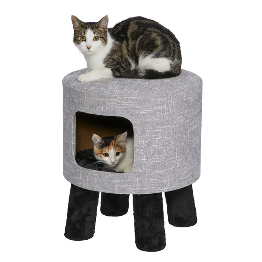 Feline Nuvo Stella.