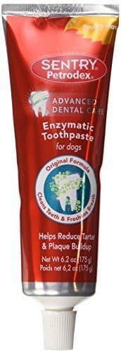 Petrodex Enzymatic Toothpaste.