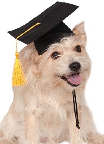 Black Graduation Hat.