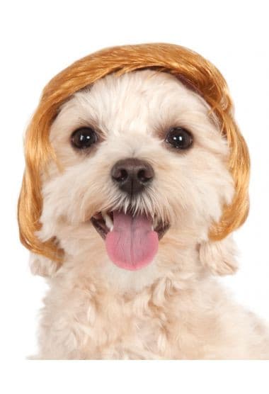 Pawlitical Billionaire Dog Wig.