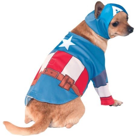 Captain America Pet Costume.