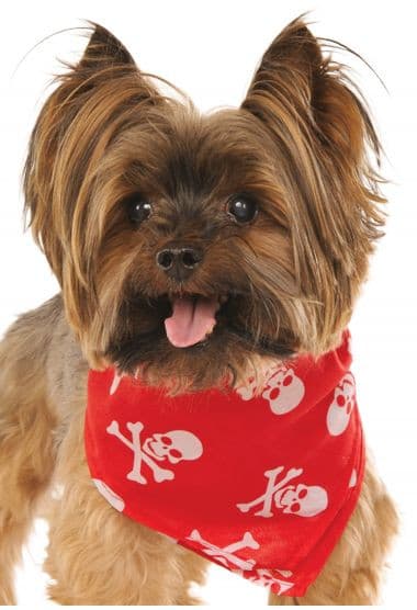 Red Skull & Crossbones Bandana.