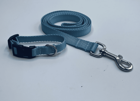 Basic Light Blue Dog Collars and Leads (1" wide).