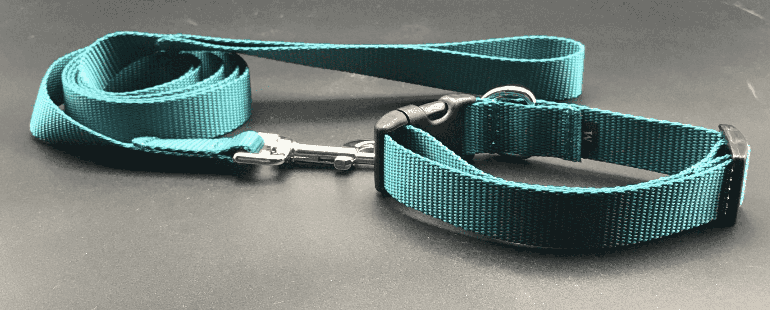 Basic Teal Dog Collars and Leads (1" Wide).