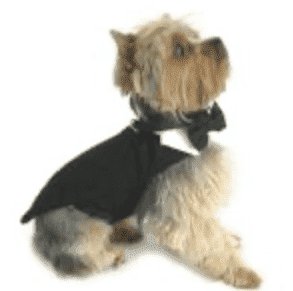 Black Dog Harness Tuxedo w Tails Bow Tie and Cotton Collar