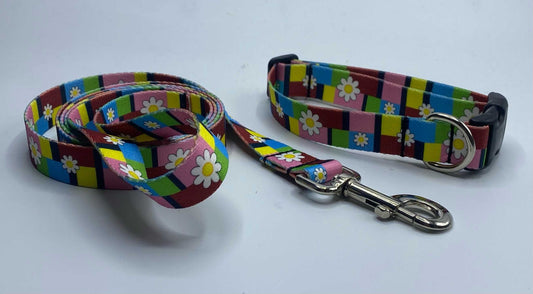 Blocks of Daizy Collars or leads (1" Wide).