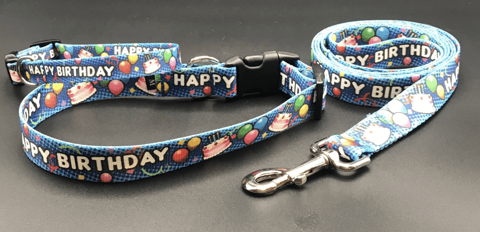 Blue Birthday Bash Dog Collars & Leads (5/8" Wide).