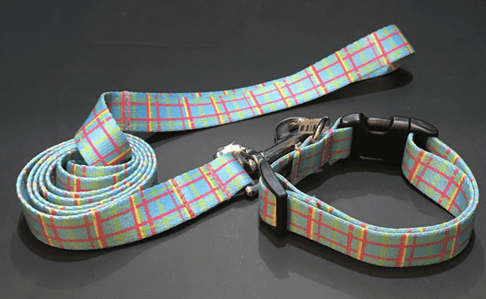Blue Easter Basket Argyle Dog Collar or Lead (5/8" Wide).