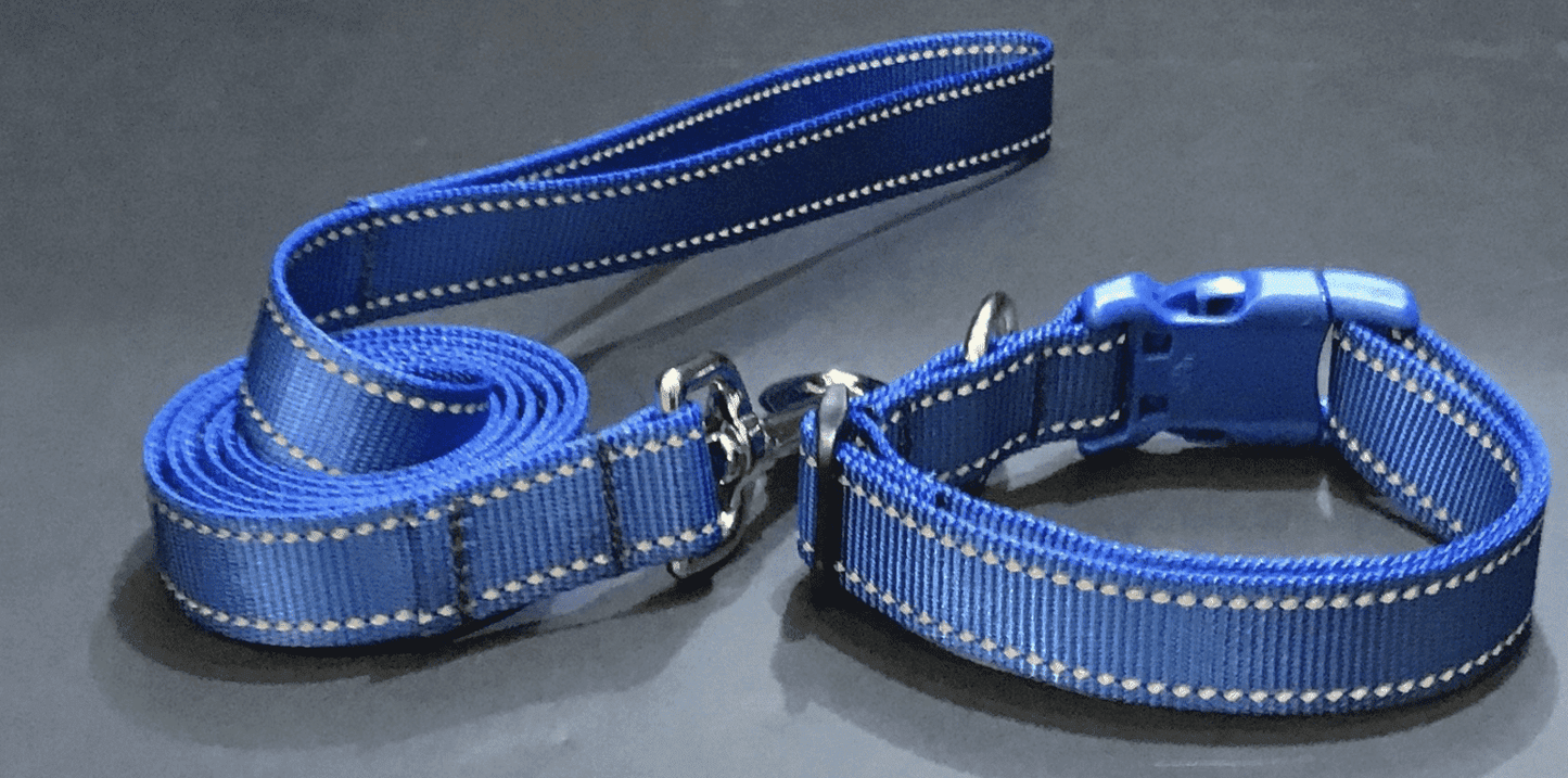 Blue Reflections Dog Collars or Leads (1" wide).