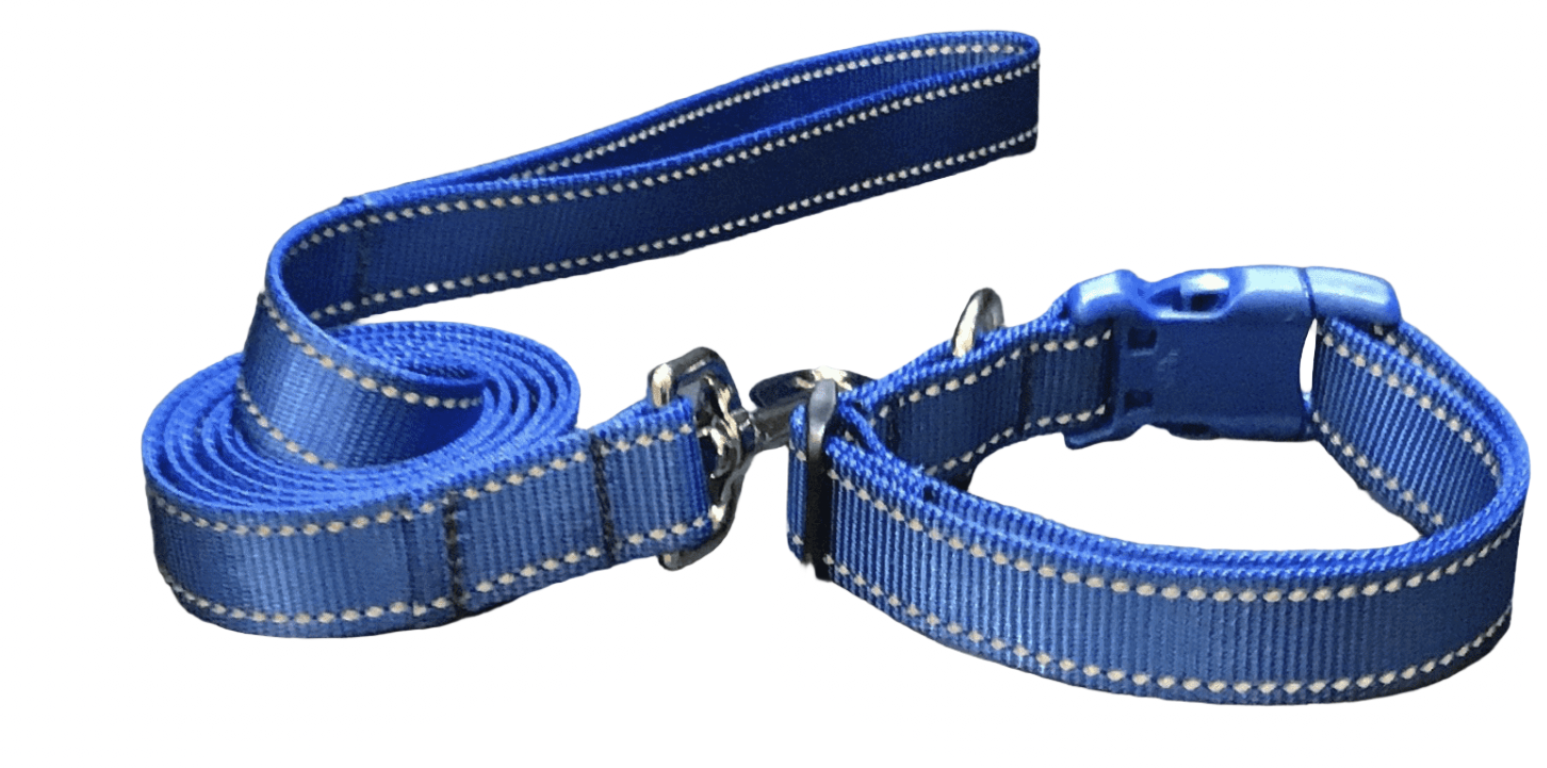 Blue Reflections Dog Collars or Leads (5/8" wide).