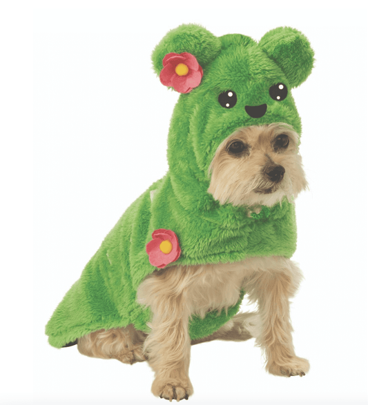 Cactus Pet Costume.