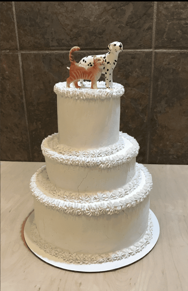 Custom 2 Layer Wedding Party Cake For Dogs (White Icing Only).