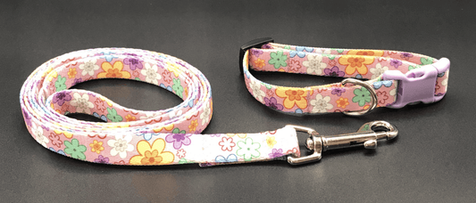 Daisy Delight Dog Collar & Leads (1" Wide).
