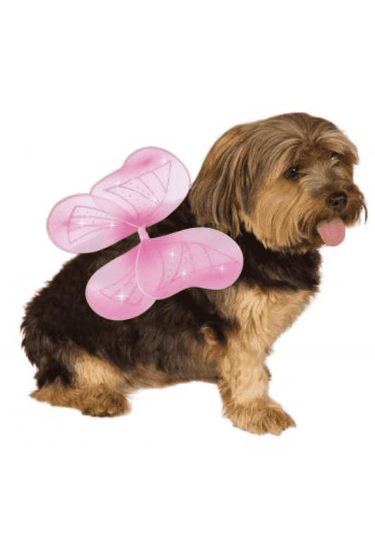 Fairy Pet Wings.