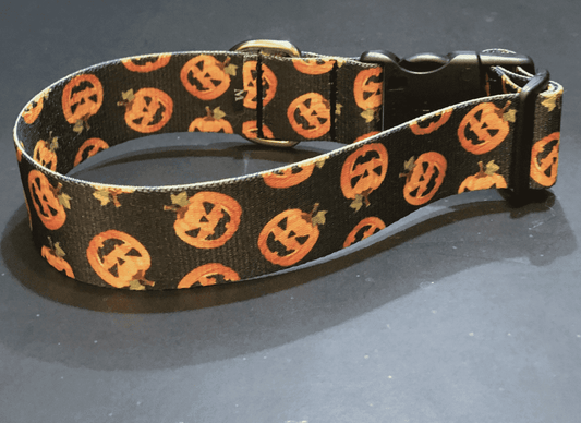 Fright Night Pumpkin Patch Dog Collar & Leads (1.5" Wide).