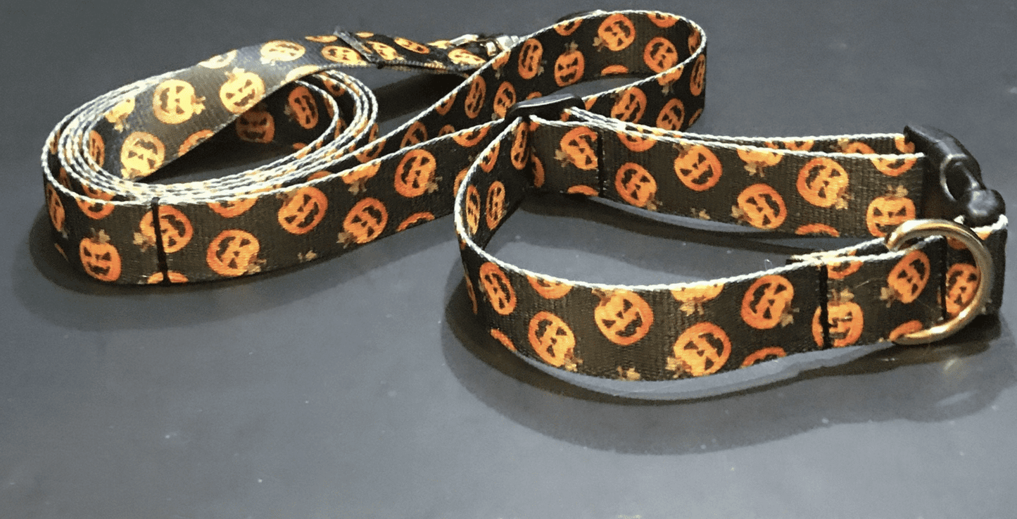 Fright Night Pumpkin Patch Dog Collar & Leads (5/8" Wide).