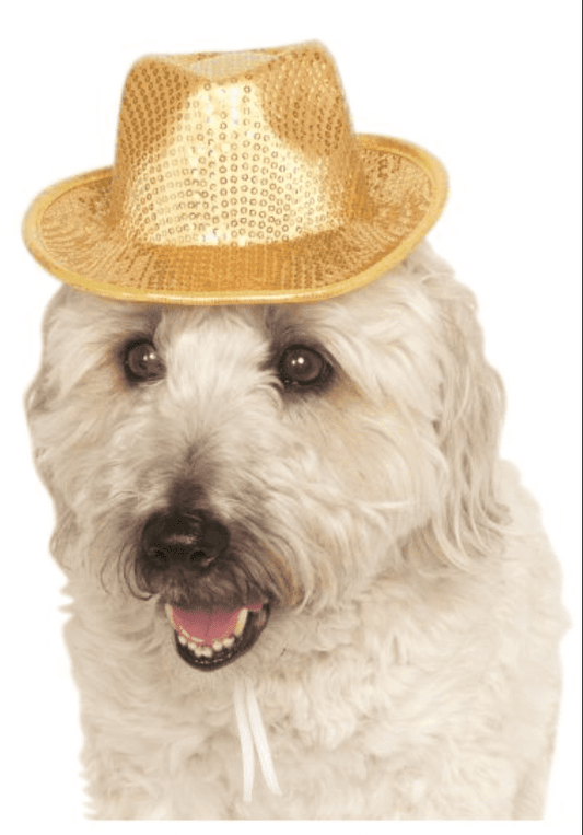 Gold Sequin Dog Fedora.