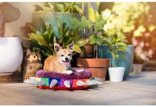 Spiked! by P.L.A.Y. Rainbow Dog or Cat Bed.