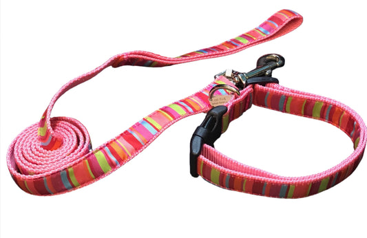 Pink Candy Stripe Dog Collars or Leads.
