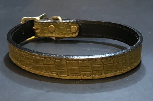 Croc Skin Collar.