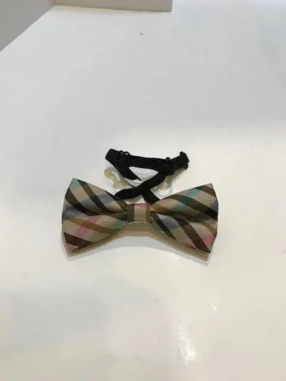Fancy Bow Tie.