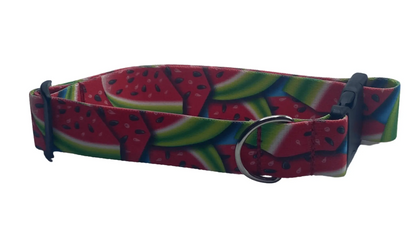Jazzy Watermelon Dog Collar (1.5" Wide).