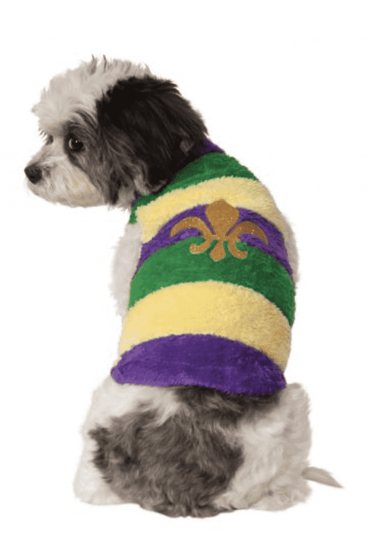 Mardi Gras Dog Sweater.