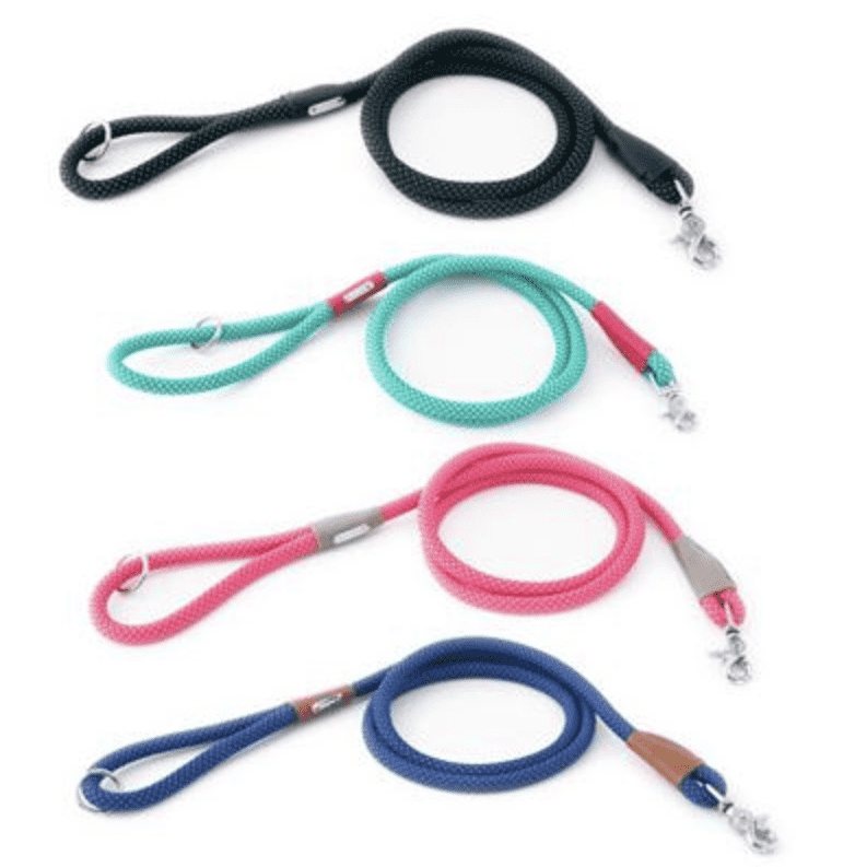 Mod Essentials Dog Leash.