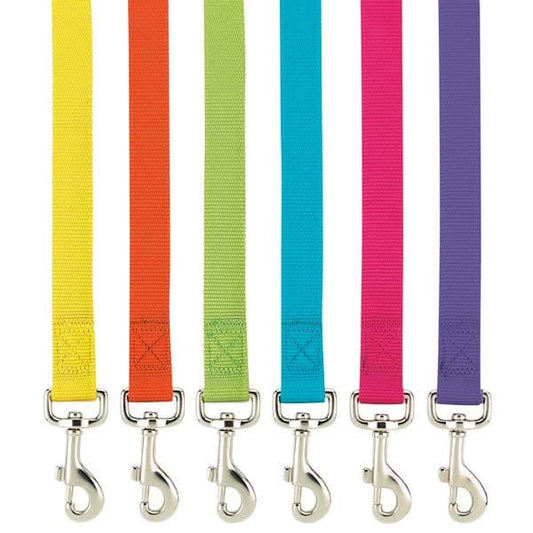 Basic Collars & Leads.