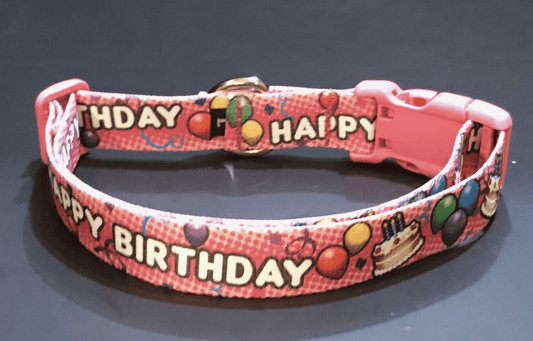 Pink Birthday Bash Dog Collars & Leads (1" Wide).
