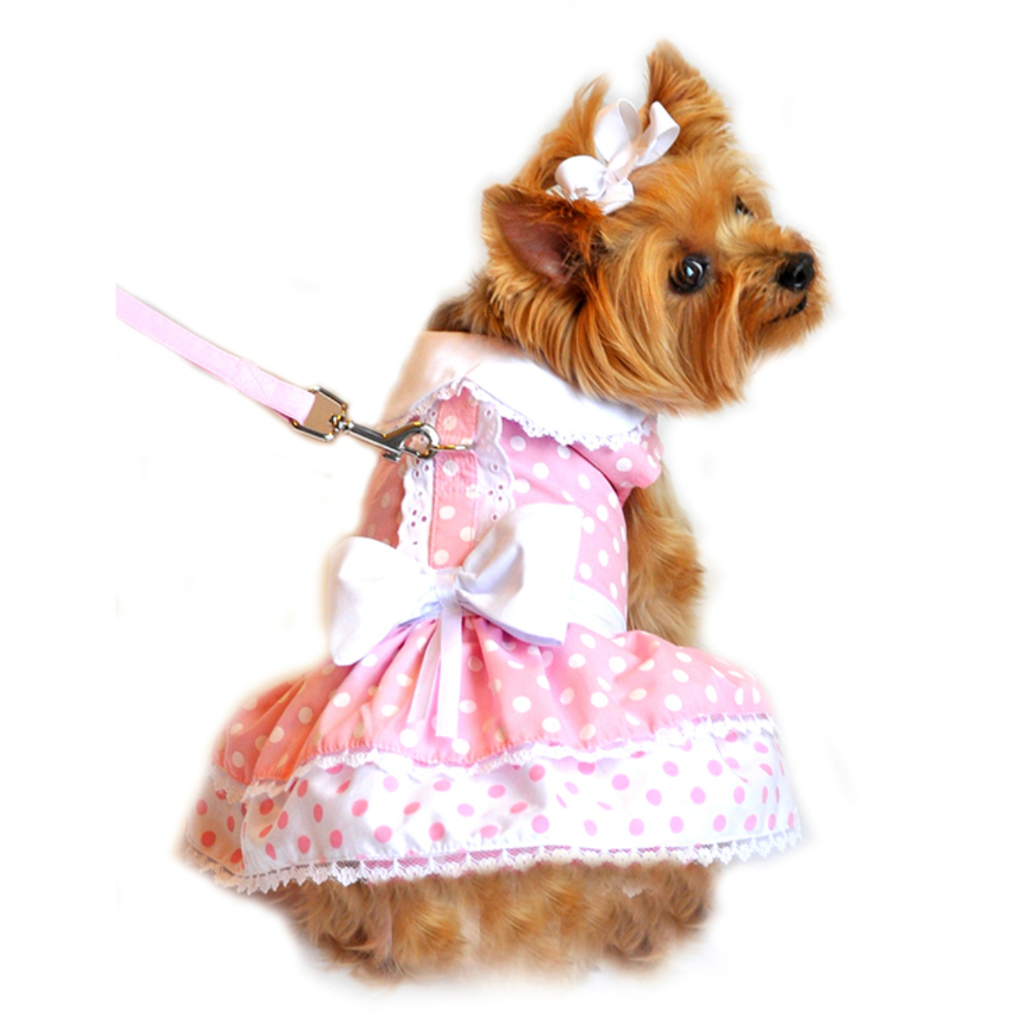 Pink Polka Dot and Lace Dog Dress Set with Leash.