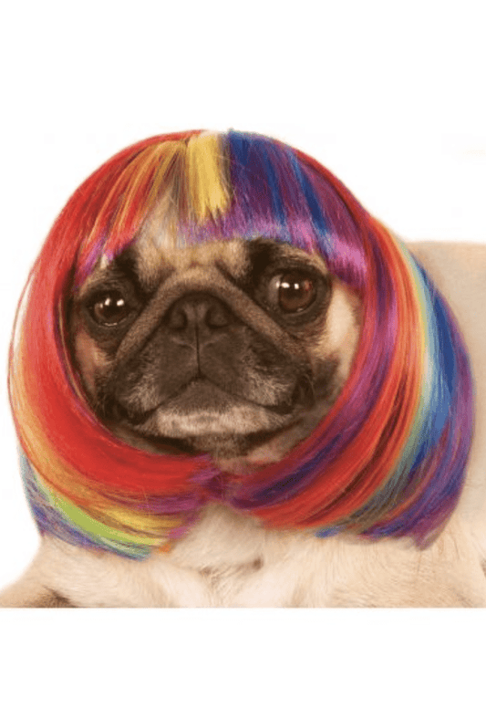 Rainbow Pet Wig.