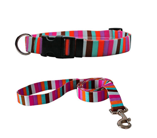 Multi-Stripe Collars and Leads.
