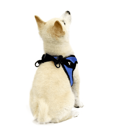 Escape FreeⓇ Easy Fit Harness.
