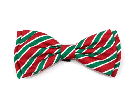 Holiday Stripe Bow Tie.